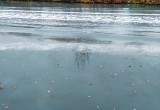Бирюзовая вонючая вода в Белозерском канале абсолютно безвредна  