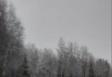 Первый снег завалил Вологодчину, как и предсказывали синоптики  