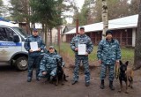 Бельгийские овчарки будут следить за порядком в великоустюгской полиции