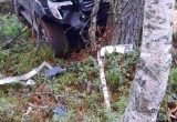 В Вологодской области бодрый водитель «под градусом» протаранил дерево внедорожником