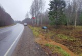 В Вологодской области водитель на «Киа» пропахал кювет своим «пепелацем» 