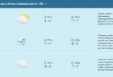 Погода на Вологодчине: снег, мокрый снег и нулевые температуры