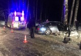 Страшная авария в Вологде: переломанного водителя едва вытащили из разбитого «Мерседеса»