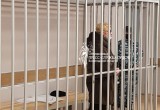 Залившая лицо росгвардейца «Дихлофосом» в Вологде Елена Воеводина выпущена на свободу 