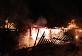 В Вологодской области заживо сгорела 81-летняя женщина, её дом и автомобиль «Ока»  
