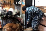 В Вологде сожитель 14-летней девочки убил ее мать, расплата настигла спустя 7 лет