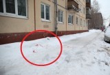 20-летняя девушка на грани жизни и смерти после трагедии на ул. Гагарина