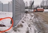 Недалеко от Вологды разорванную собаку откинули лопатой к жилым домам
