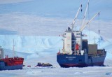 Инженер из Вологды Павел Васильев отправился в Антарктиду за романтикой