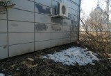 «Черного лесоруба», уничтожившего ели на Кремлевской площади, ищет полиция
