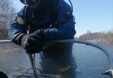 Сапоги мертвеца: В Вологодской области два дня безуспешно ищут труп рыбака