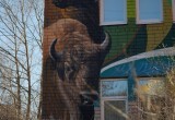 В Вологде был замечен огромный бык, девочка и медведь