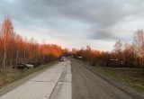 В Вологодской области лихой гонщик едва не уничтожил себя и пассажира, совершив…