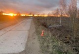 В Вологодской области лихой гонщик едва не уничтожил себя и пассажира, совершив…