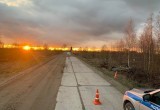 В Вологодской области лихой гонщик едва не уничтожил себя и пассажира, совершив…
