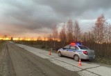 В Вологодской области лихой гонщик едва не уничтожил себя и пассажира, совершив…