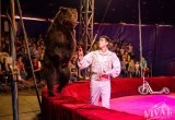 Яркий, колоритный, удивительный: Цирк «VIVAT» приглашает вологжан на зажигательное представление!