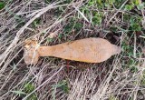 82-мм мина была обнаружена и уничтожена в Вологодской области взрывотехниками ОМОН