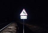 В Вологодской области будущая мать погибла на трассе под колесами «Дастера»