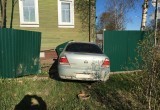 Пьяный водитель не справился с управлением и свалил вину на собаку