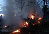 МЧС рассказали подробности жуткого пожара под Вологдой: причины трагедии банальны…
