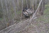Очередное смертельное ДТП на Вологодчине: старичок погиб в груде железа своего авто