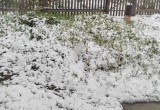 Наконец-то первый майский снег накрывает Вологодчину: шутки кончились, а зима вернулась…