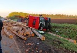 В Великоустюгском районе в ДТП погиб водитель лесовоза