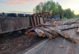 В Великоустюгском районе в ДТП погиб водитель лесовоза