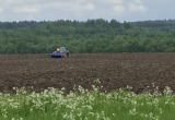 В Харовском районе полтонны картофеля валяются прямо на поле близ оживленной трассы  