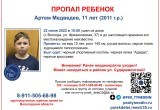 Несовершеннолетние брат и сестра пропали в Вологде
