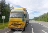 Жесткий автозамес на трассе М-8 в Вологодской области: фура в кювете, троих увезли…