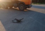 Появилось видео момента жесткого ДТП на трассе «Вологда-Новая Ладога» в Вологодском районе