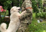 Вологодский военнослужащий во время спецоперации на Украине спас собаку и привез ее с собой домой