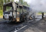 В Вологодской области загорелся автобус с пассажирами (ВИДЕО, ФОТО)