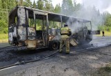 В Вологодской области загорелся автобус с пассажирами (ВИДЕО, ФОТО)