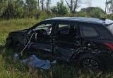 Массовое  ДТП с погибшим и пострадавшими произошло утром на трассе Вологда-Медвежьегорск