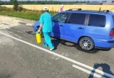 На трассе в Вологодской области появились санитарные заградительные «чумные посты»