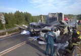 Жуткое кровавое ДТП в Вологодской области: несколько машин горят на мосту вместе с людьми