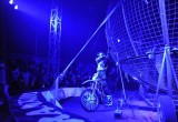 Современное цирковое шоу «Европа» без животных в Вологде