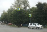 Небывалая осень 2022 года: в Вологде перестали желтеть деревья 