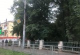 Небывалая осень 2022 года: в Вологде перестали желтеть деревья 
