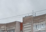 Вологодские подростки тянутся к высокому: вновь несколько оболтусов замечены на крыше многоэтажки