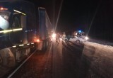 Ярославского лихача выбросило из автомобиля в ходе ДТП на «трассе смерти» в Вологодской области