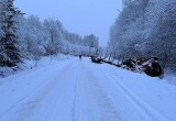 В Вологодской области немолодой водитель лесовоза едва не лишился жизни в серьезном ДТП