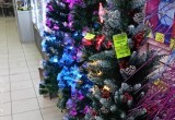 Ёлочный бардак в Вологде: покупка елки станет для вологжан дорогим удовольствием