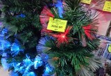 Ёлочный бардак в Вологде: покупка елки станет для вологжан дорогим удовольствием