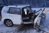 В Котласском районе вологодская многодетная семья пострадала в дорожной аварии