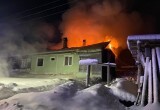 Пожилой житель Вологодской области хотел получить лишь немного тепла, но сгорел заживо…