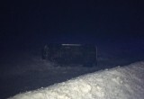 В Вологодской области загнанный водителем УАЗ Патриот решил поваляться в кювете
